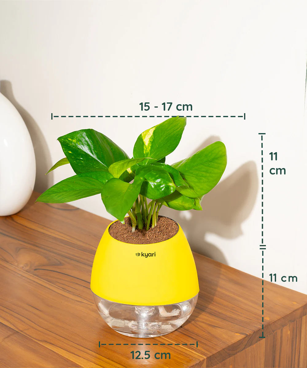 Product image 96