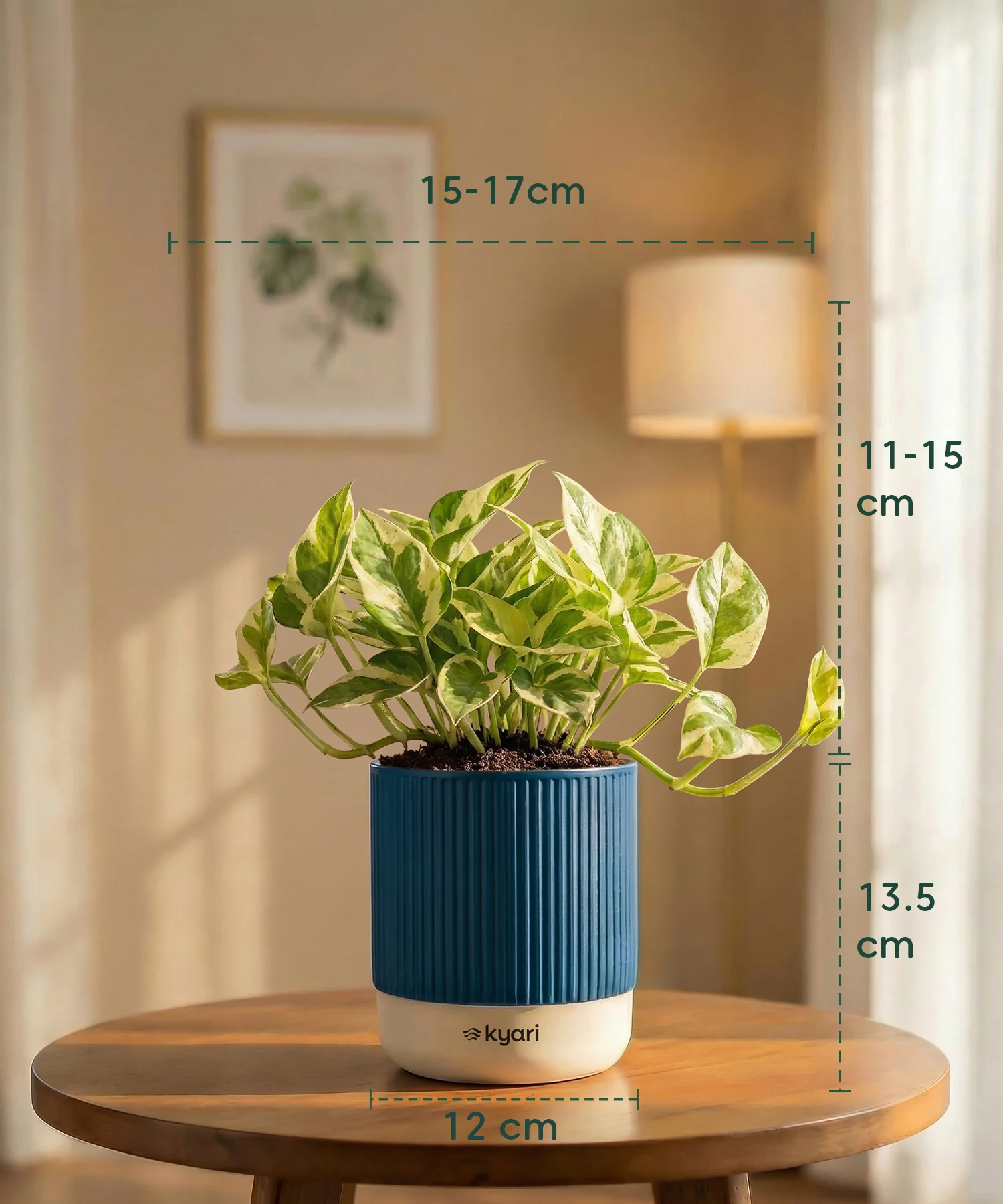 Product image 40