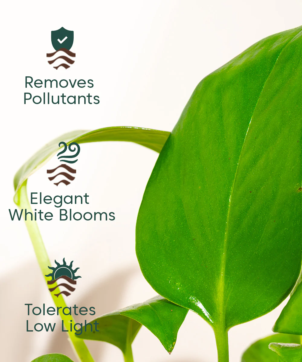 Product image 103