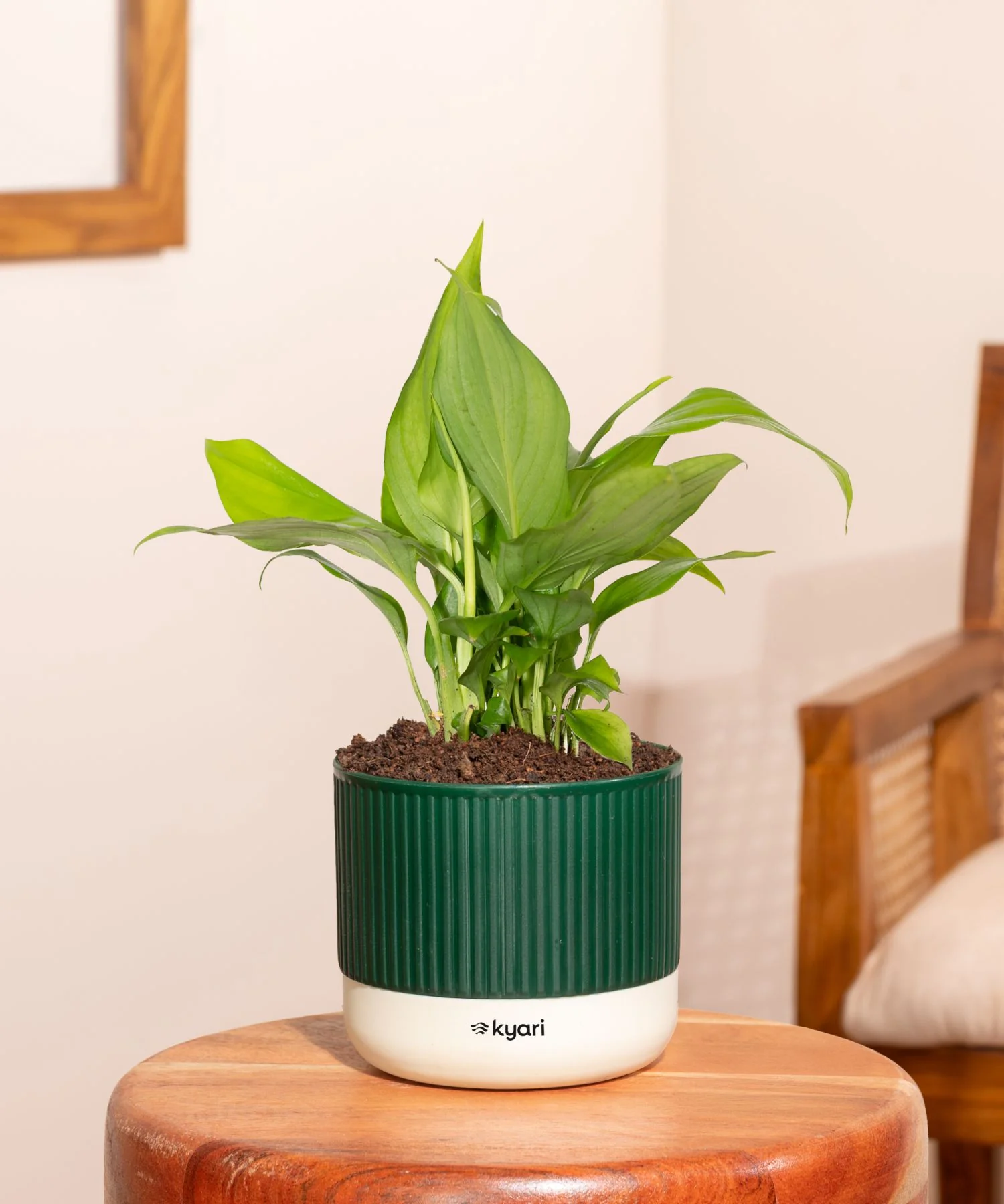 Product image 107