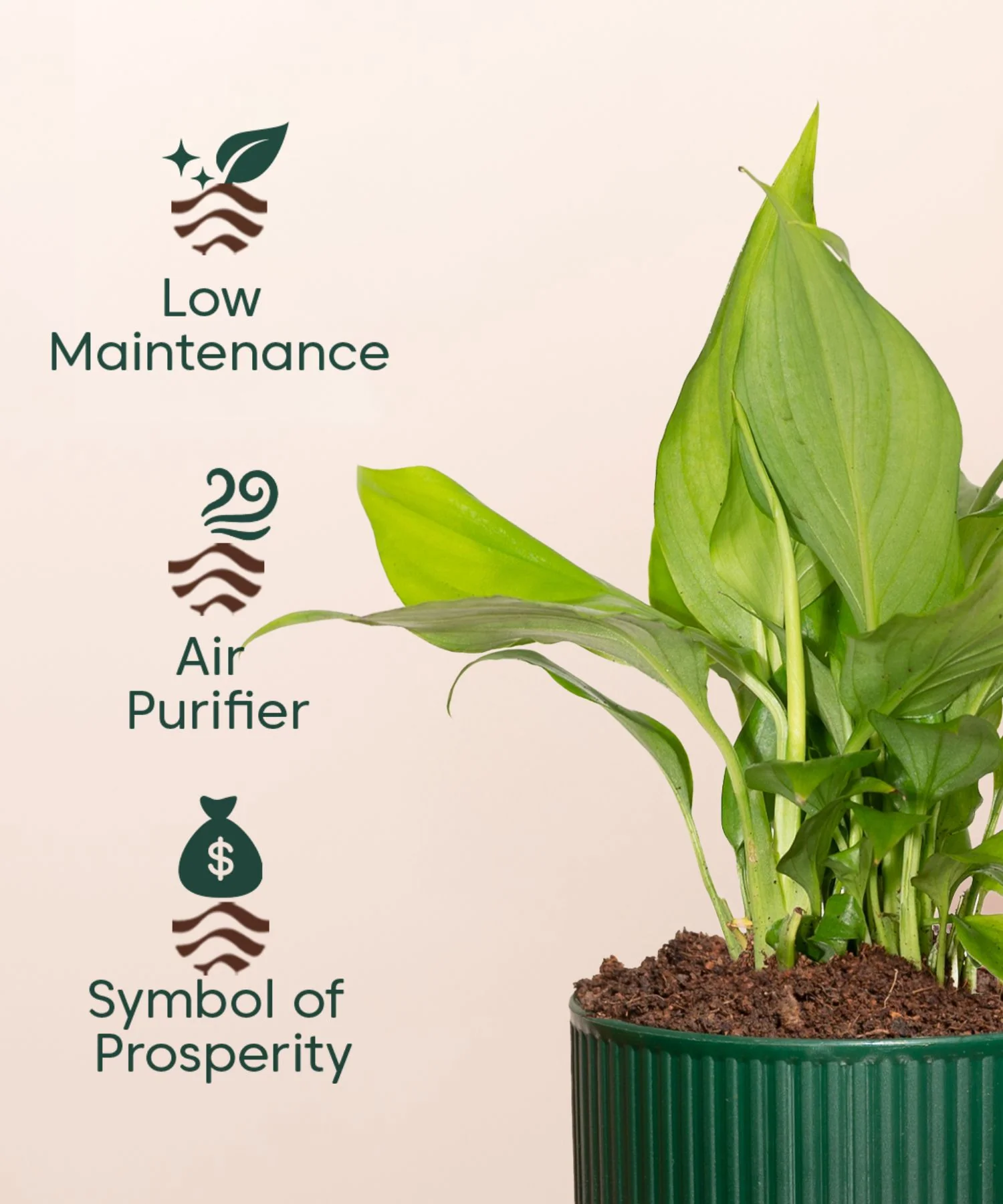 Product image 110