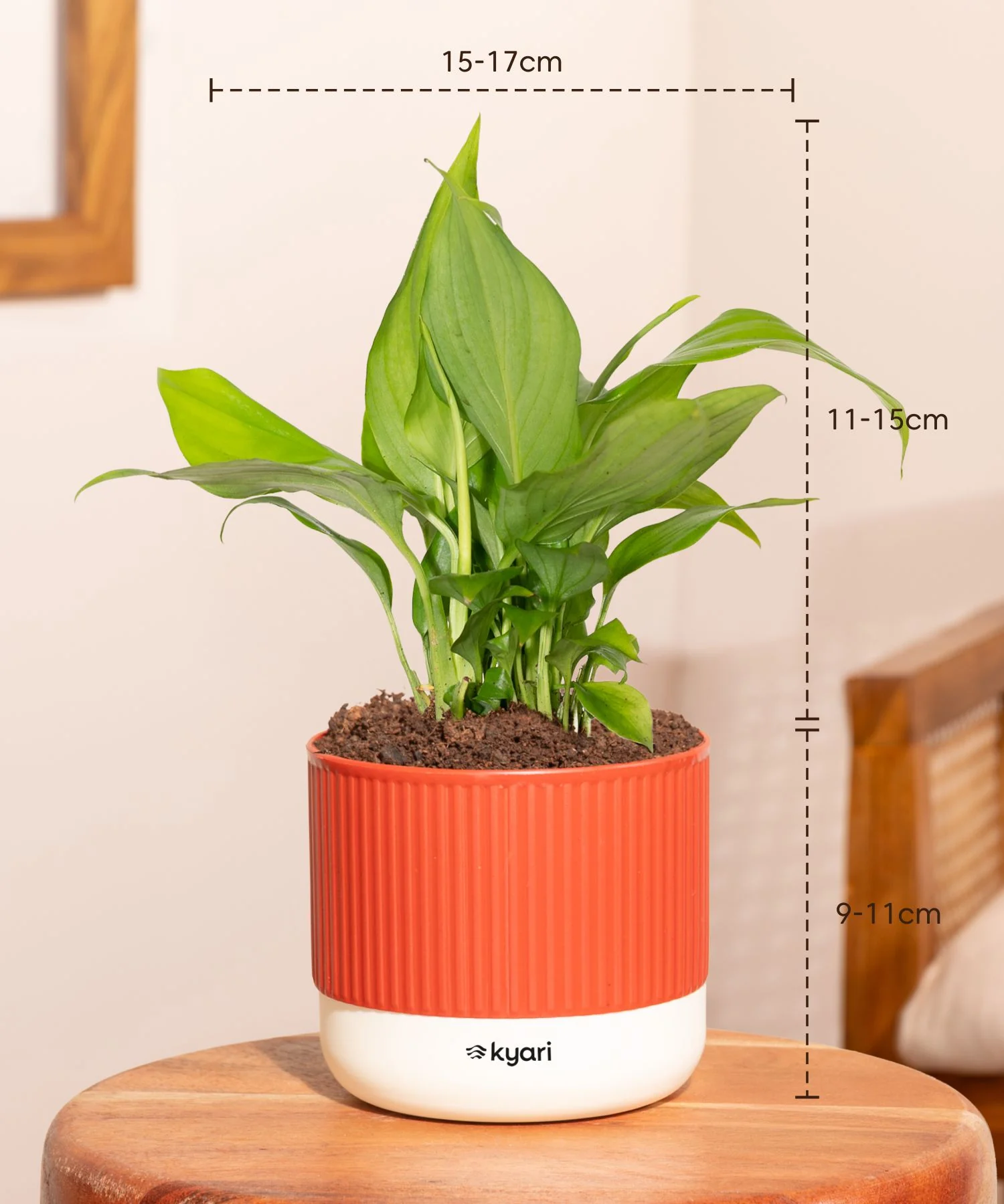 Product image 114