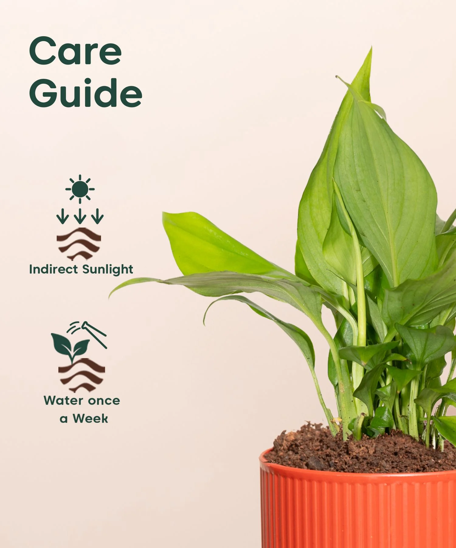 Product image 117