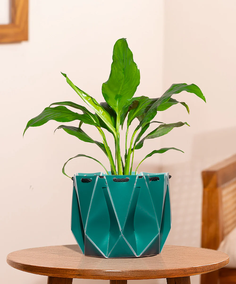 Product image 119