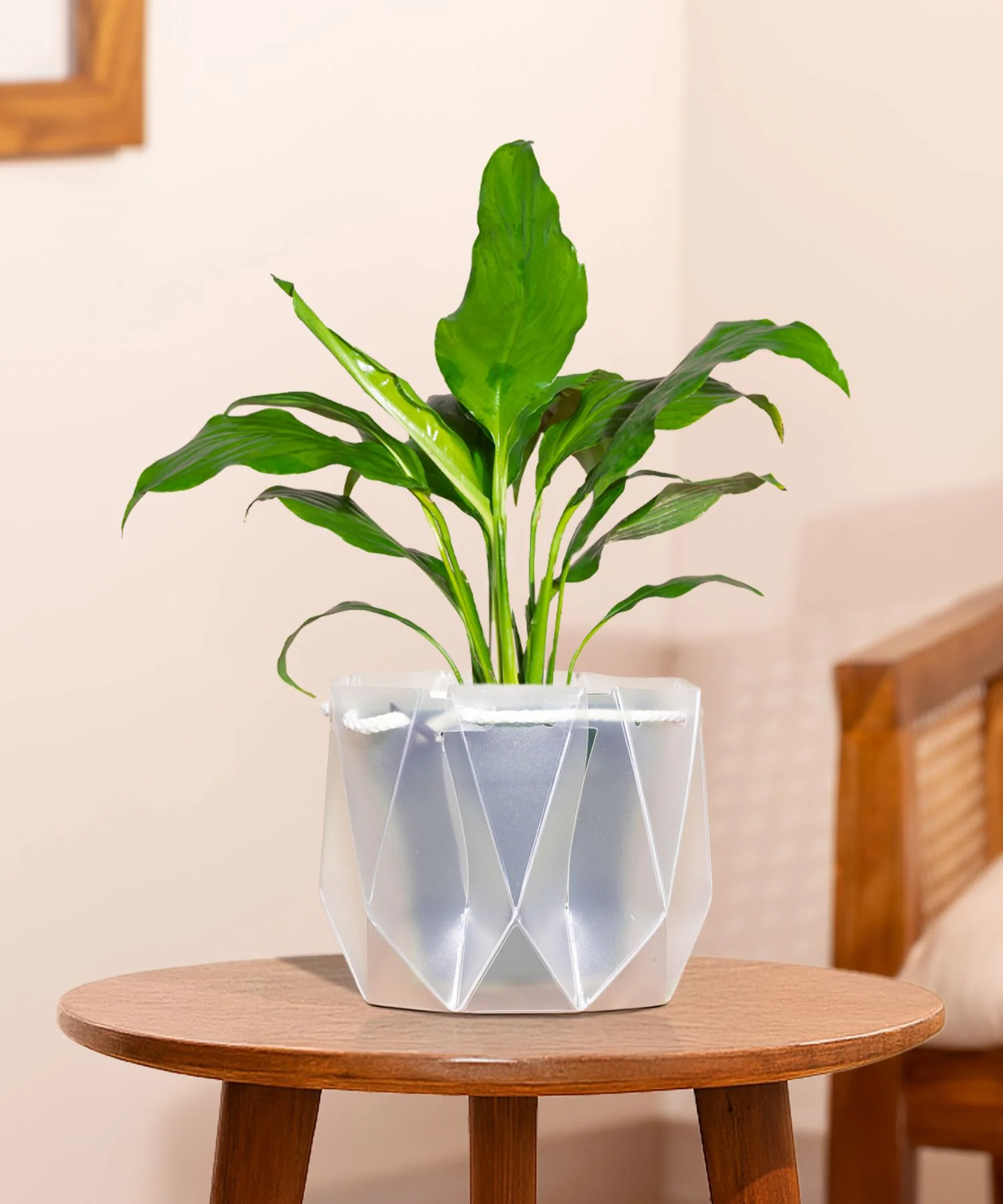 Product image 135