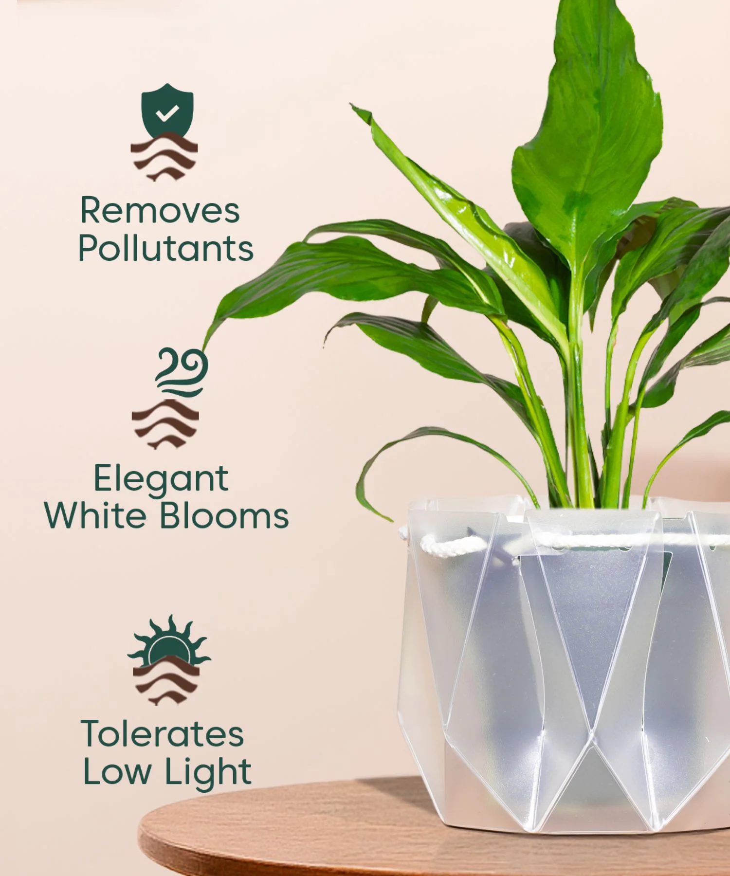 Product image 137