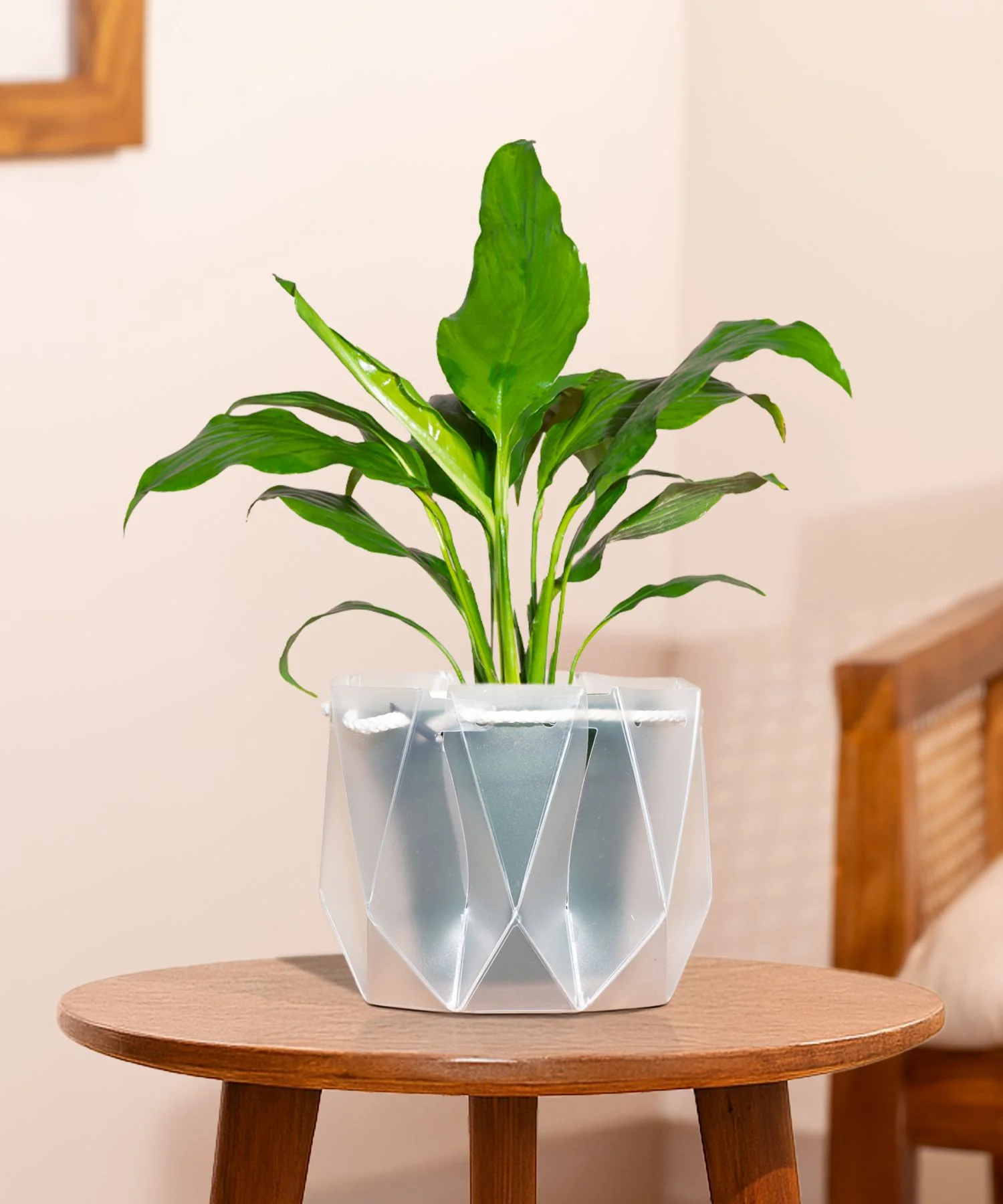 Product image 143