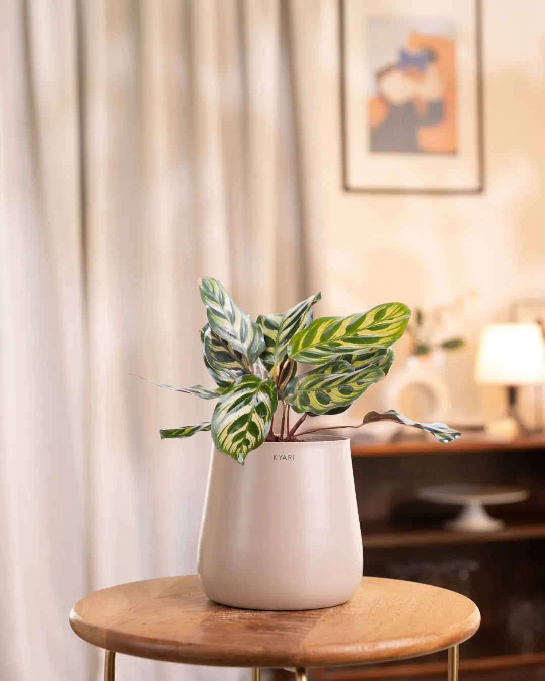 Product image 60