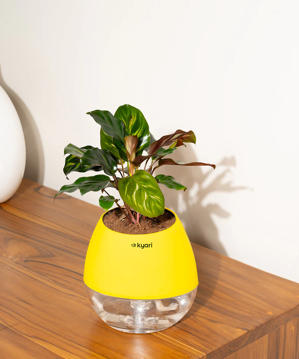 Product image 90