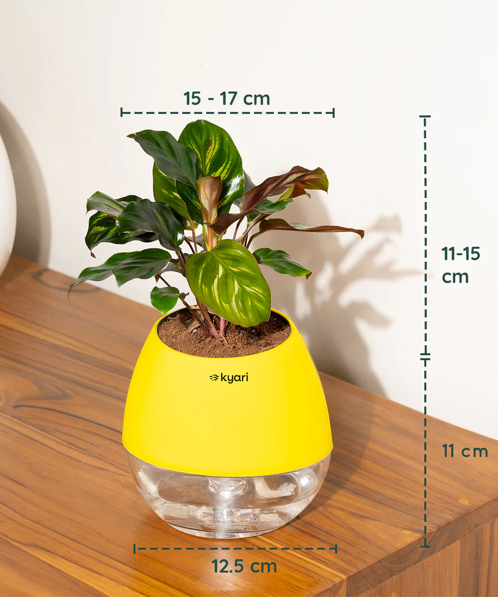 Product image 93