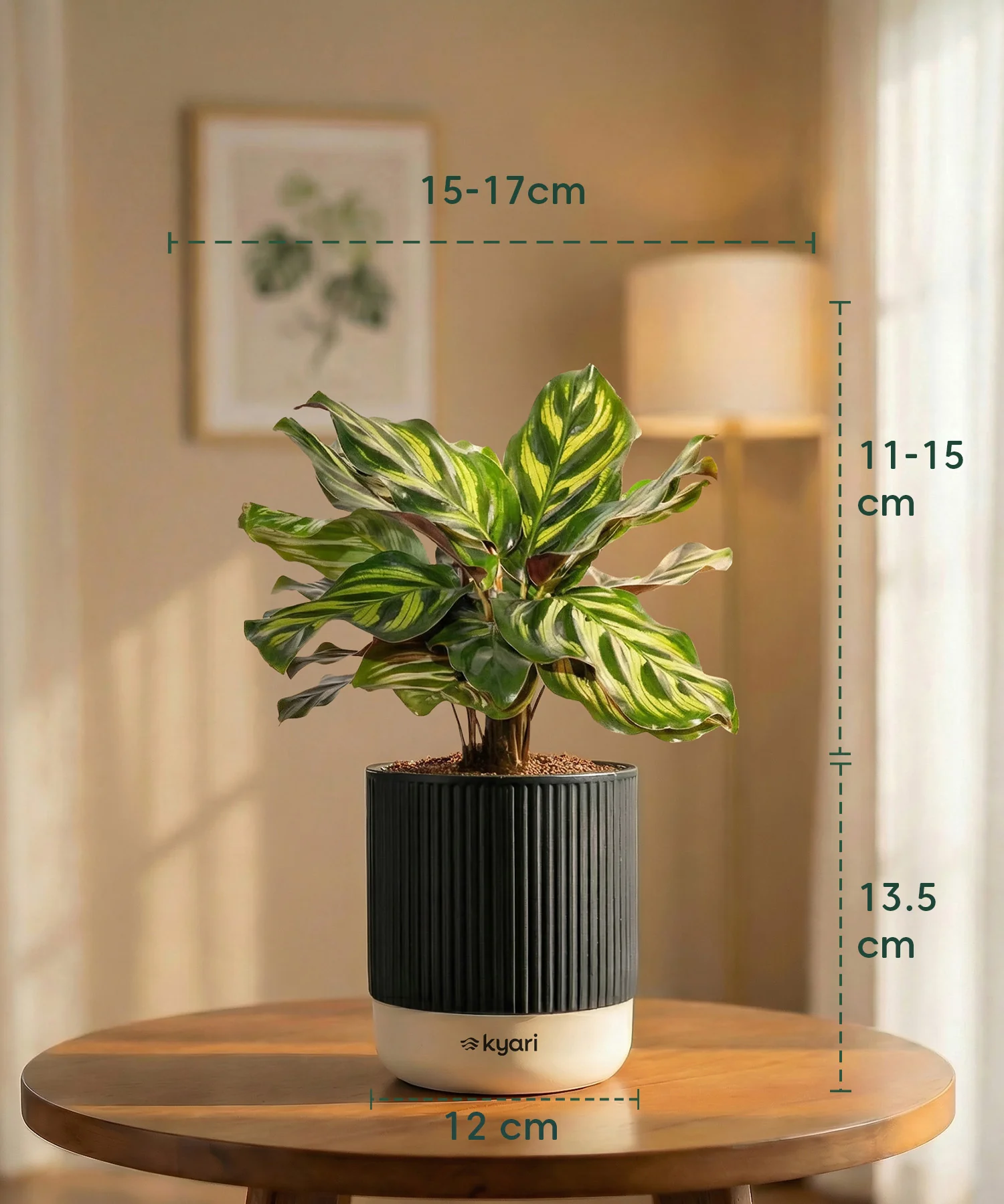 Product image 35
