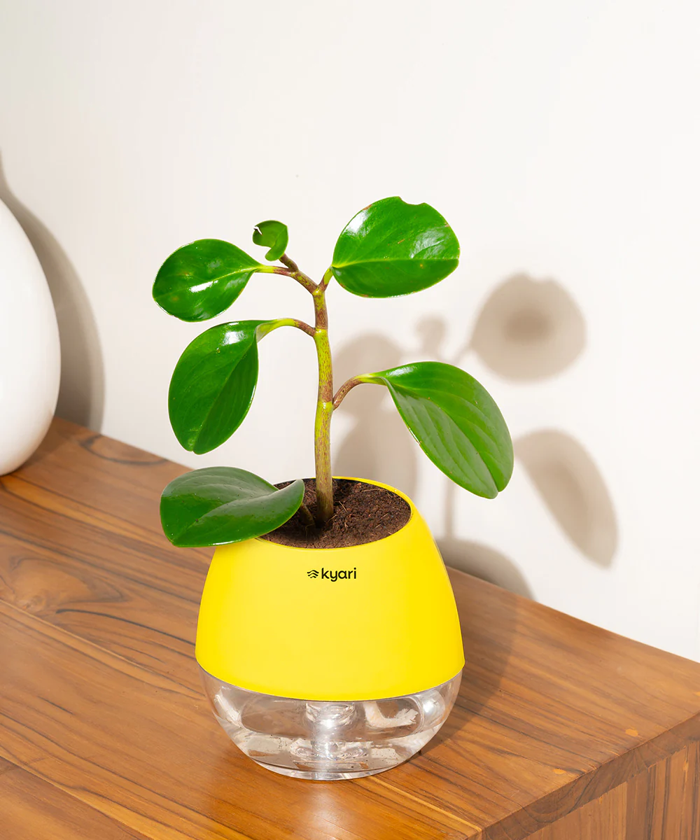 Product image 92