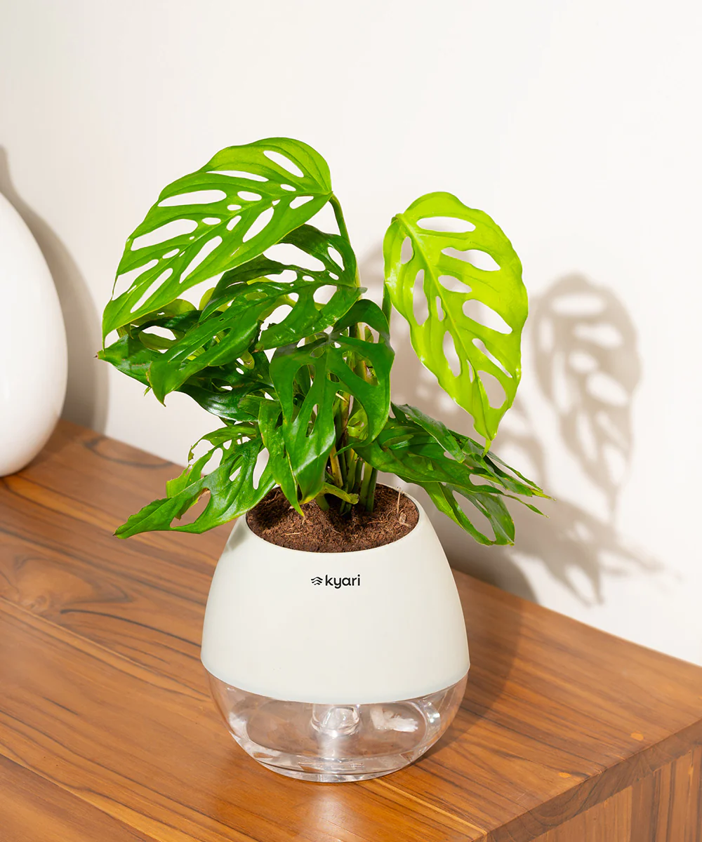 Product image 103