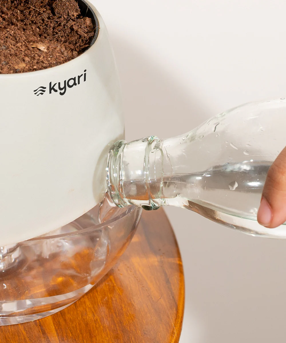 Product image 107