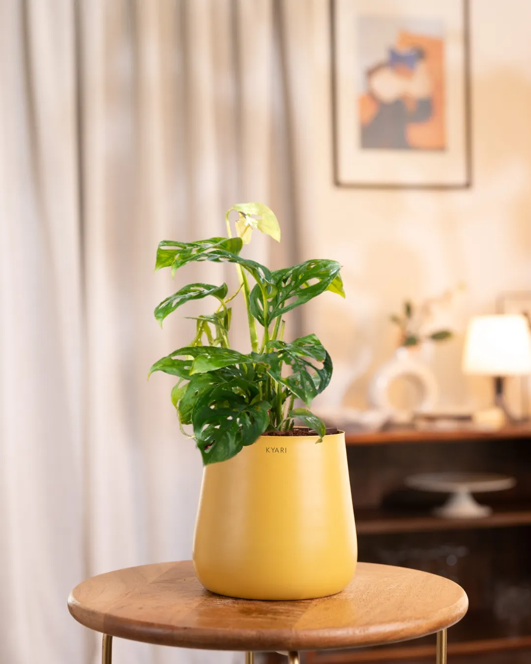 Product image 61