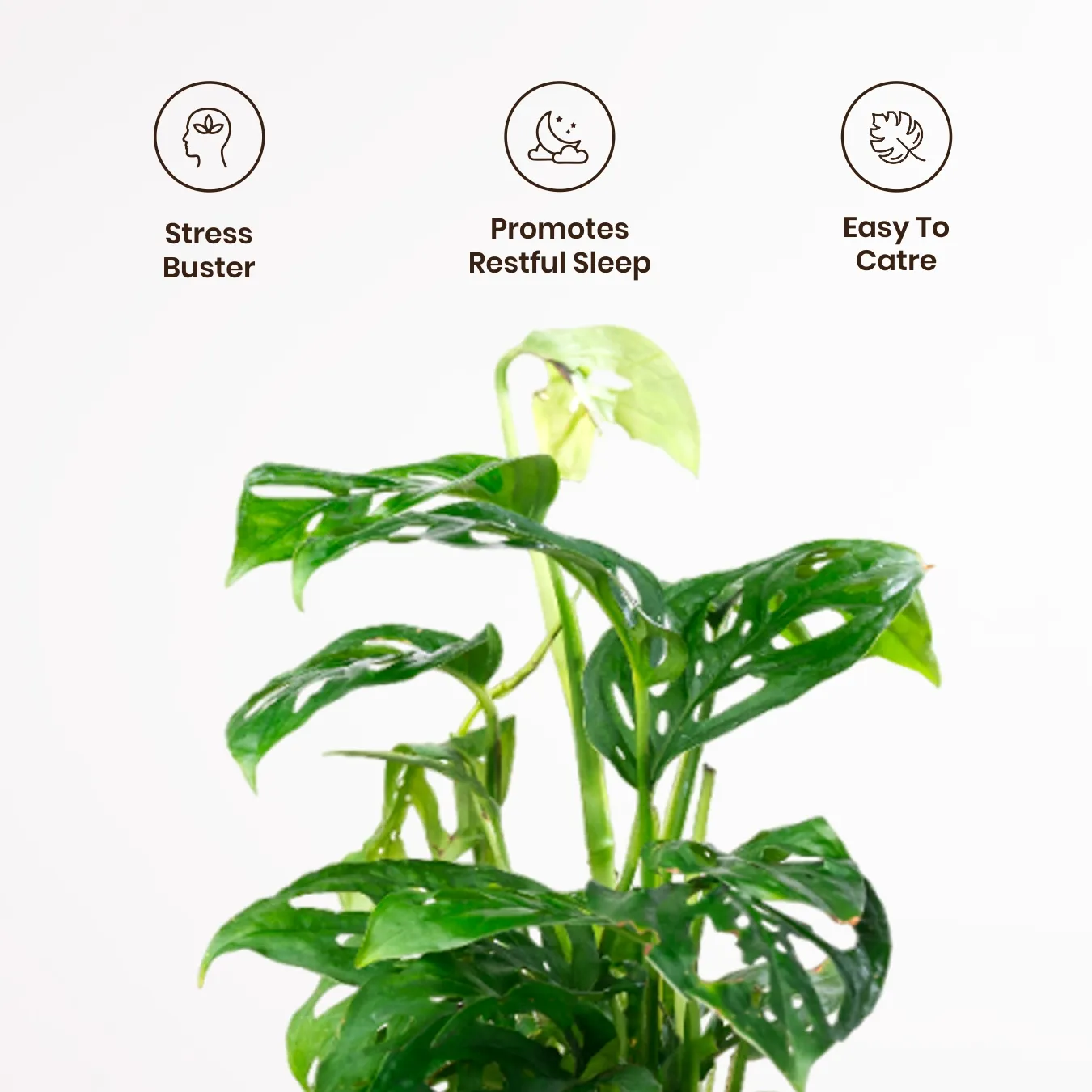 Product image 70