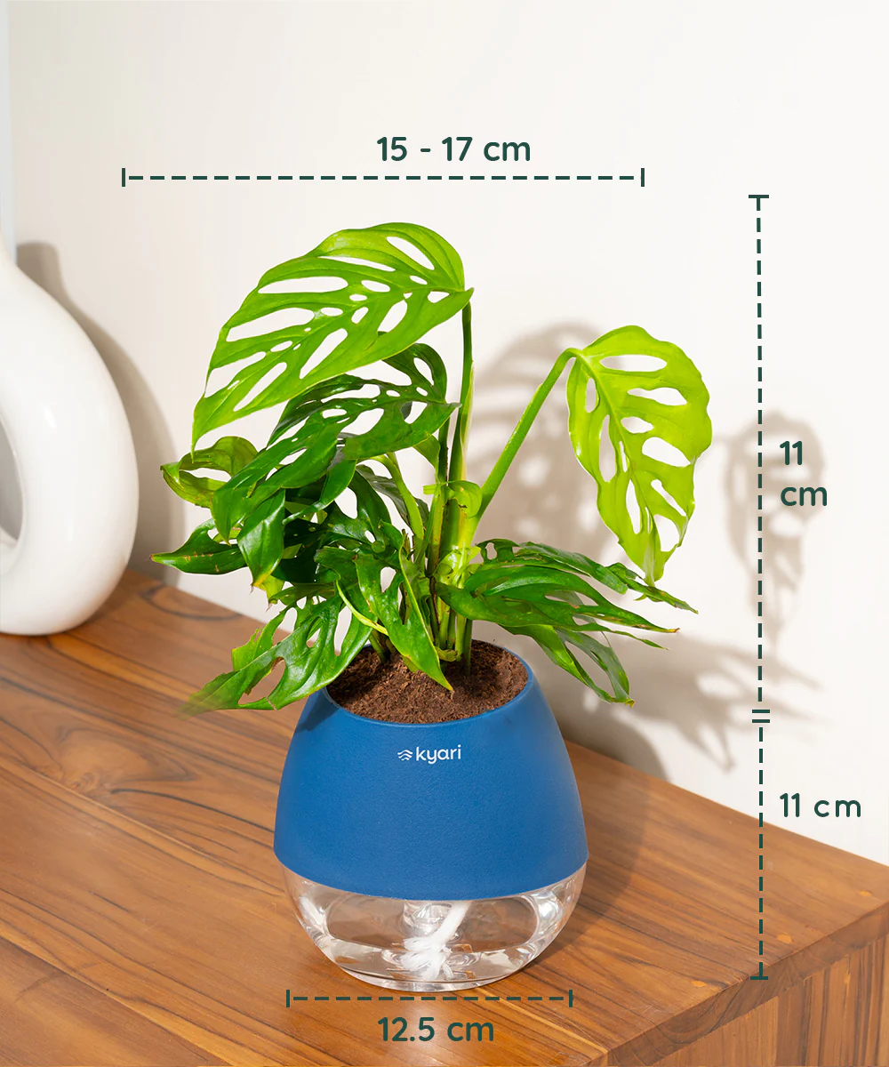 Product image 80