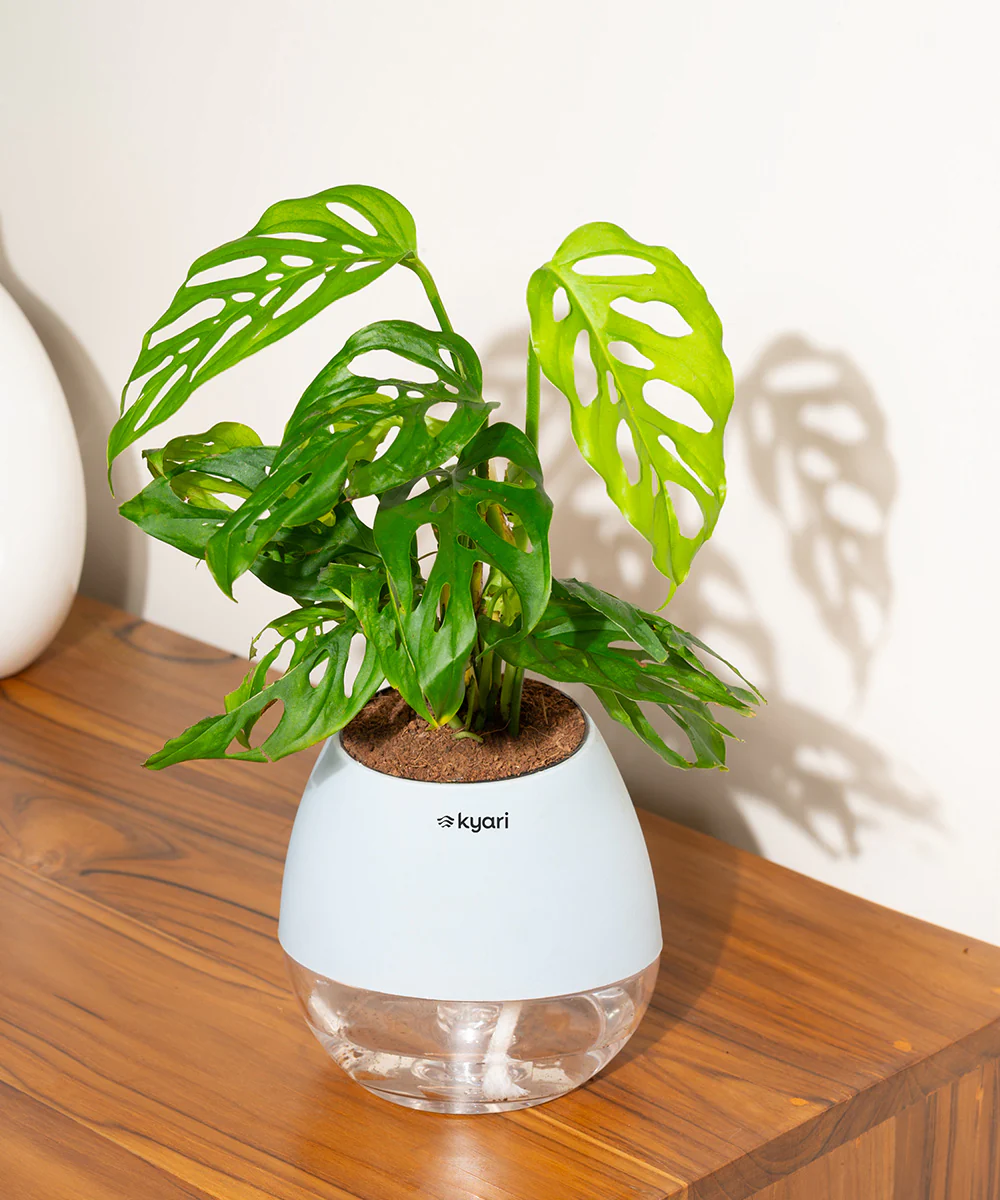 Product image 87