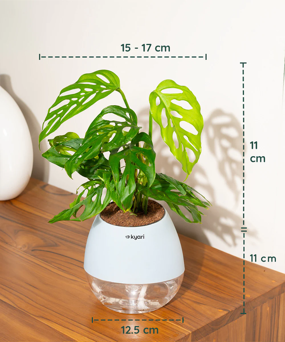 Product image 88