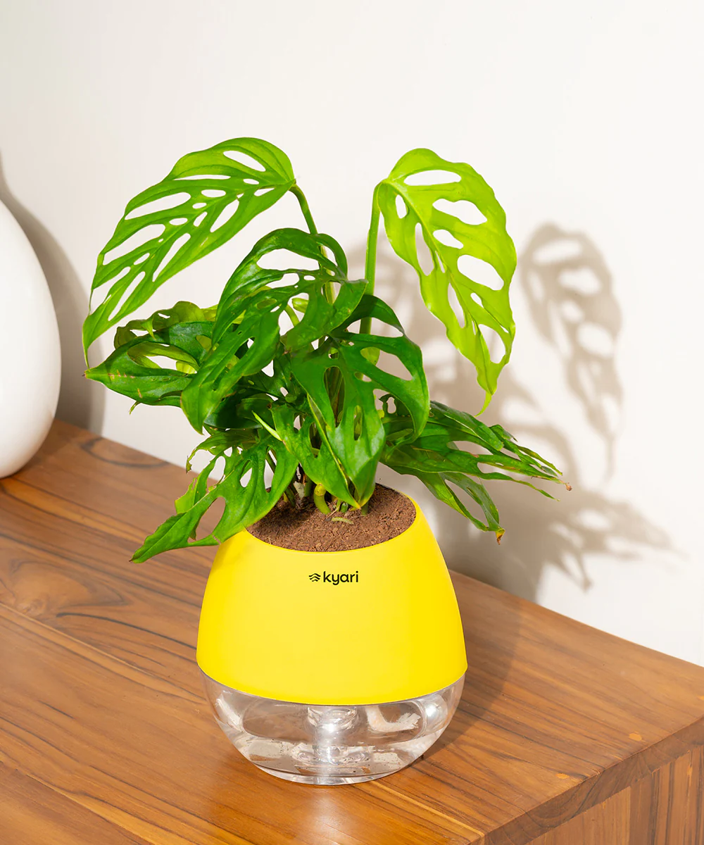 Product image 95