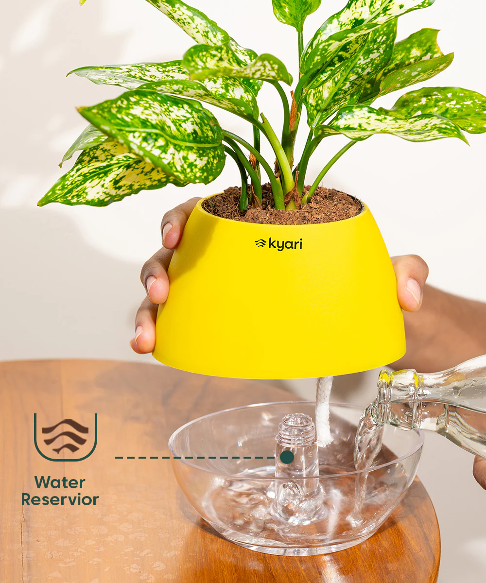 Product image 97