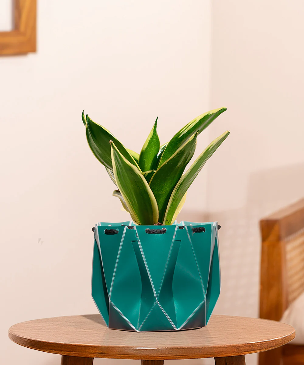 Product image 108