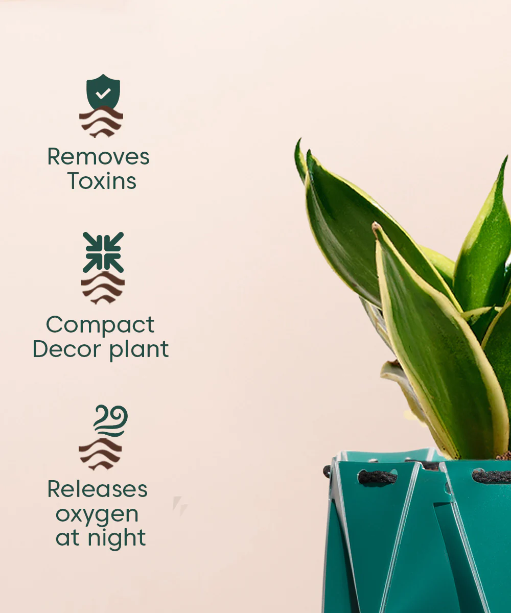 Product image 111