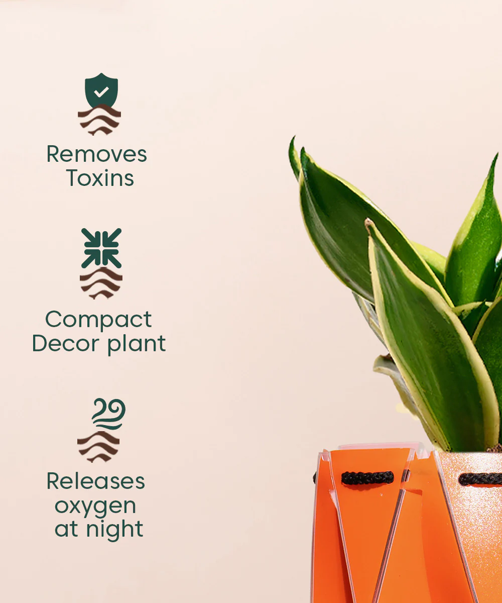 Product image 118
