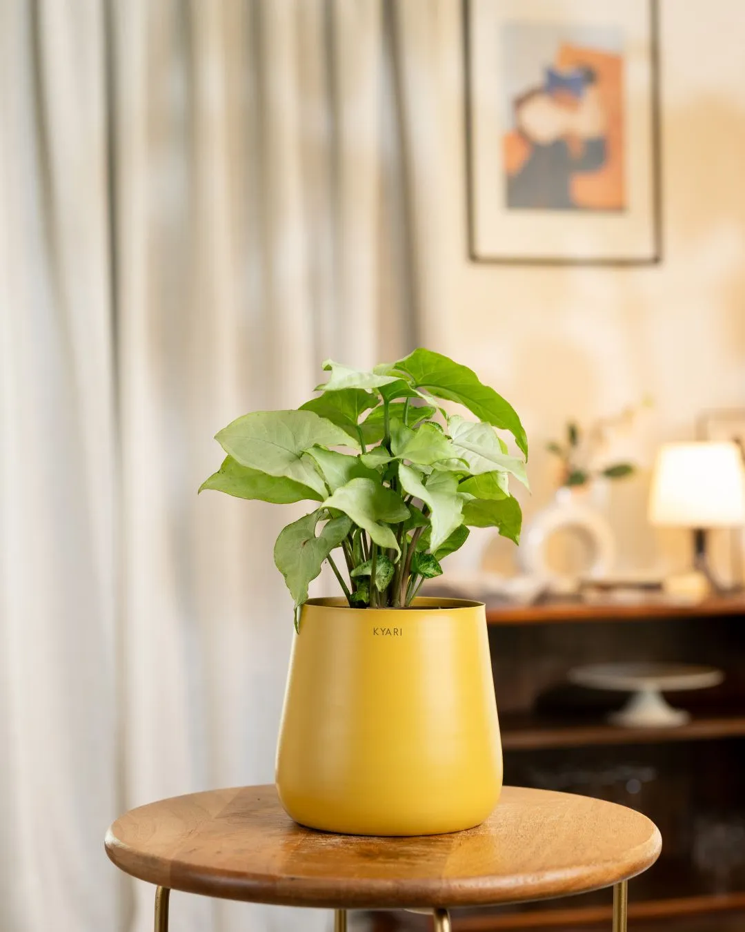 Product image 49