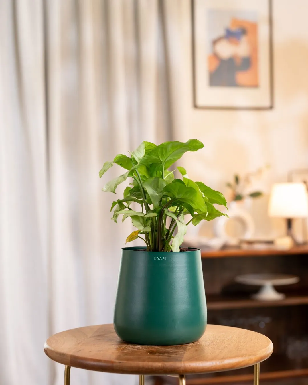 Product image 54