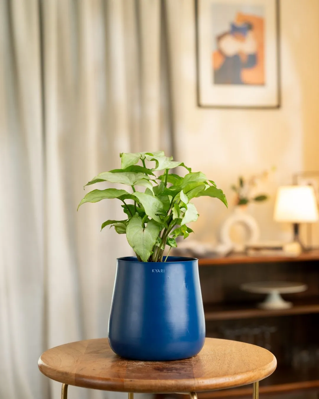 Product image 63