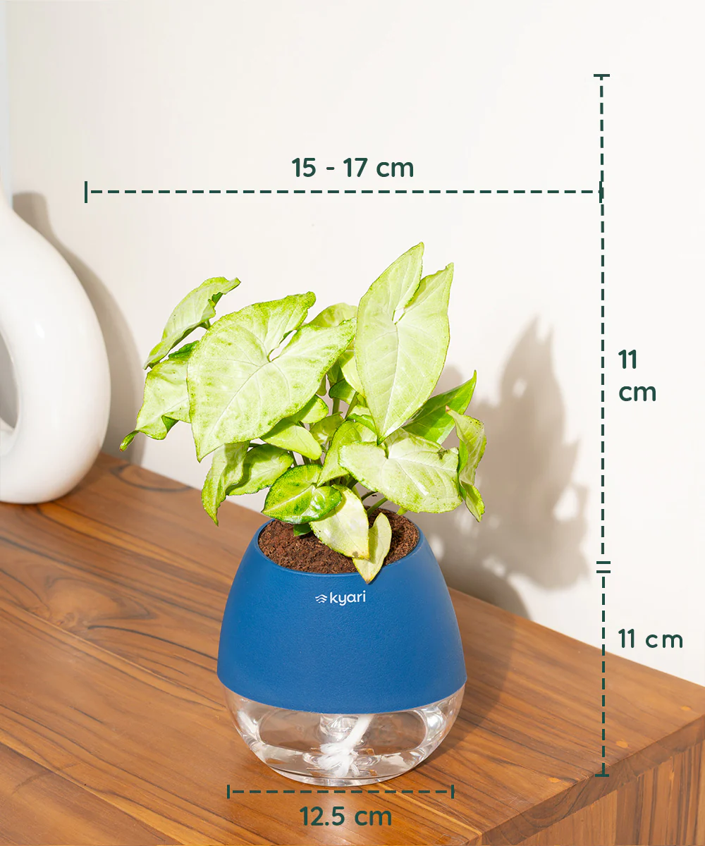 Product image 70