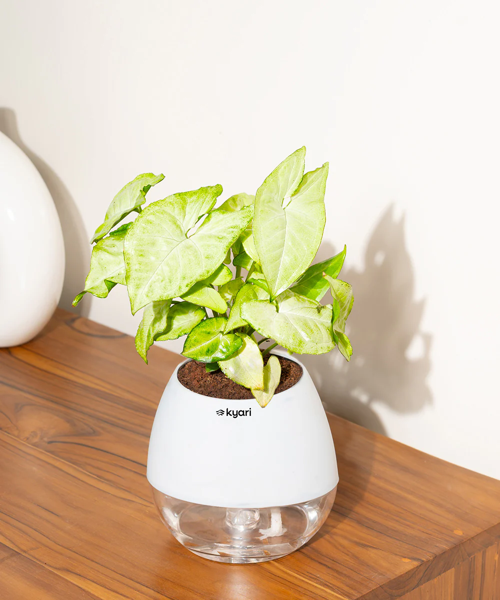 Product image 92