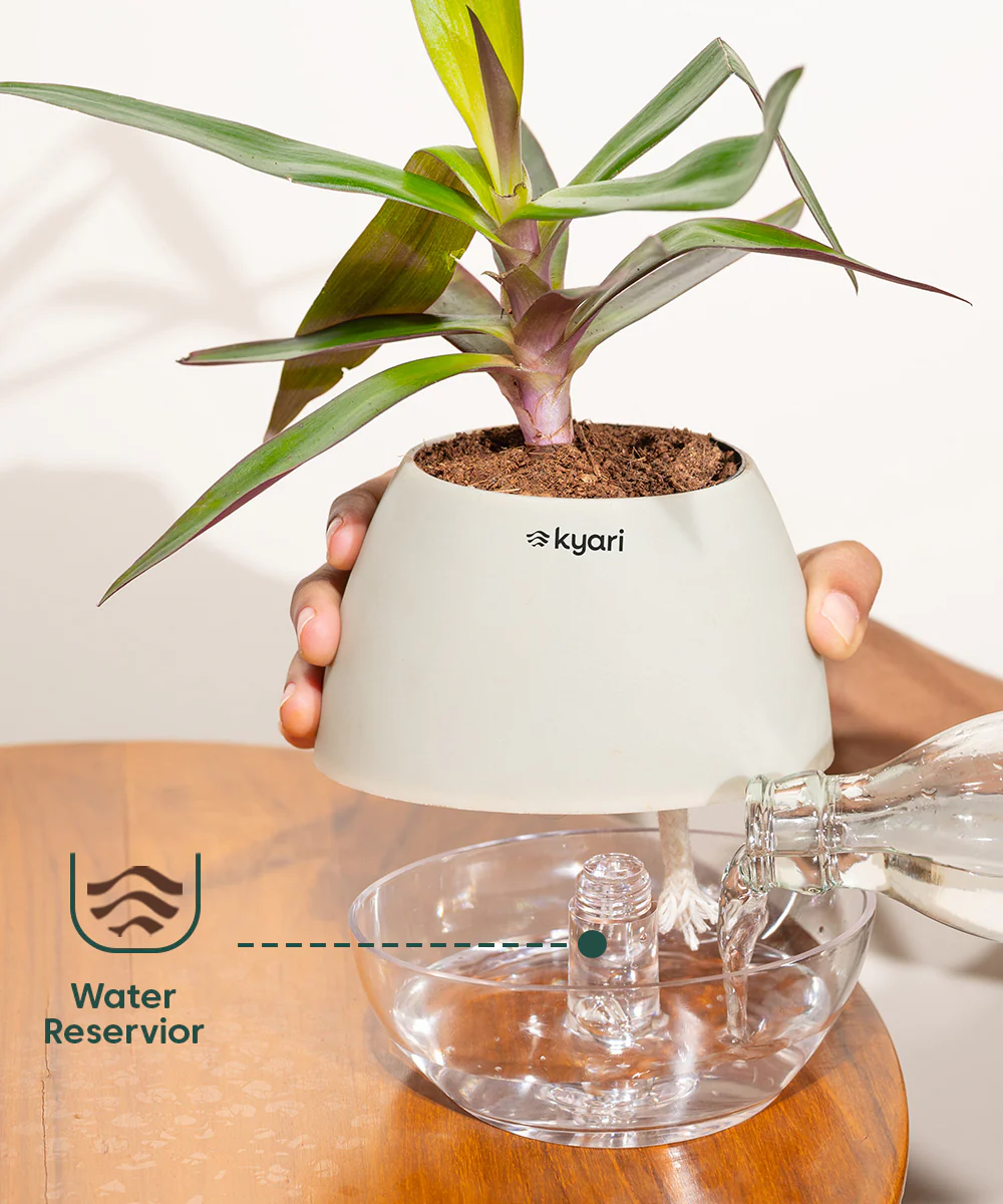Product image 106