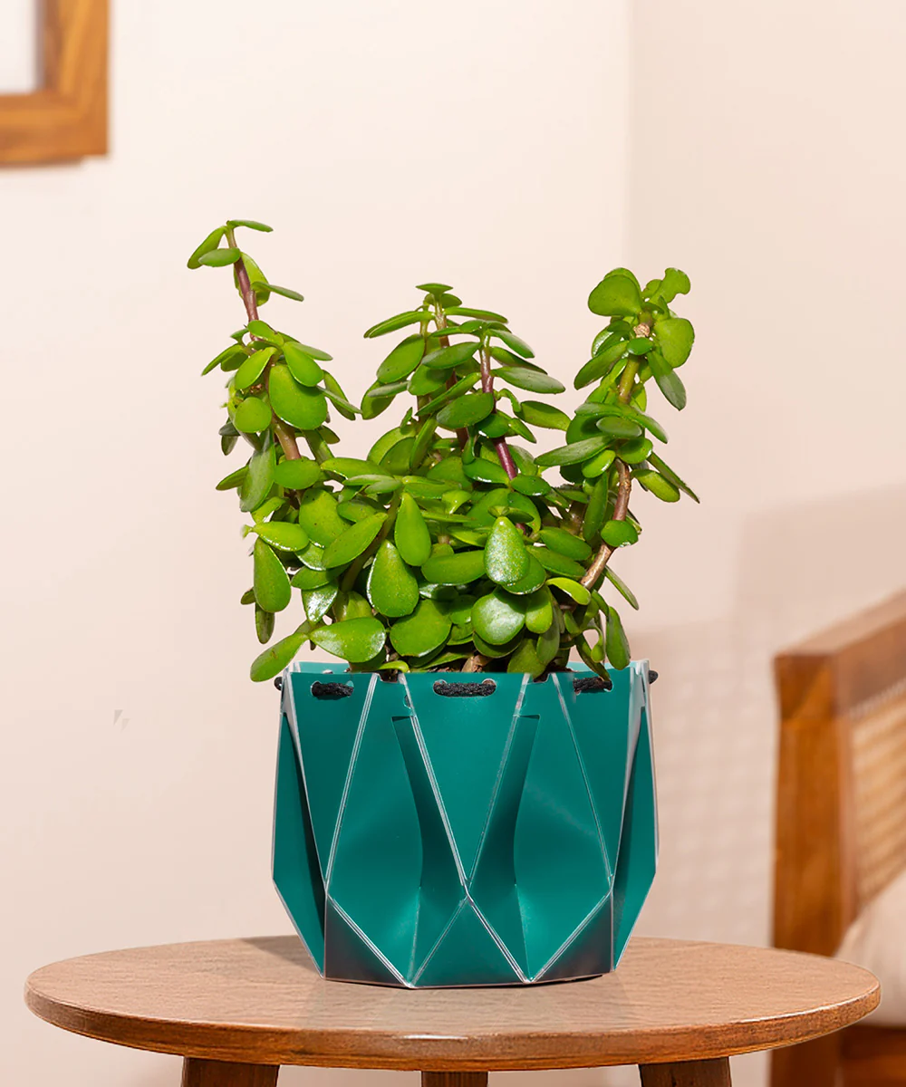 Product image 124
