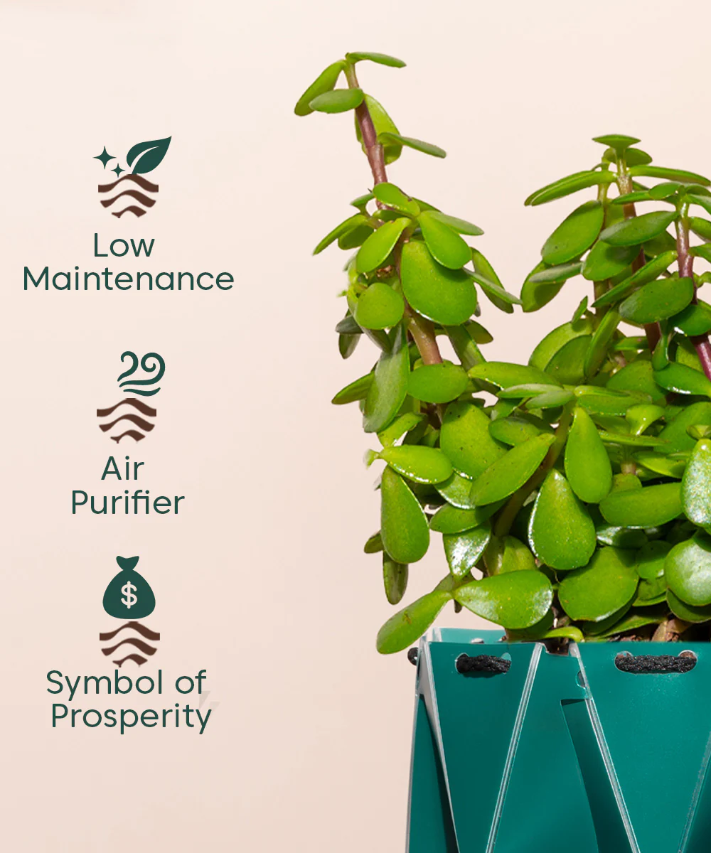 Product image 126
