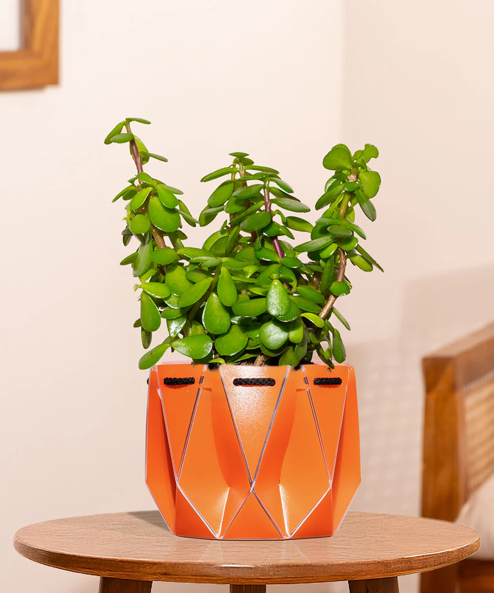 Product image 131