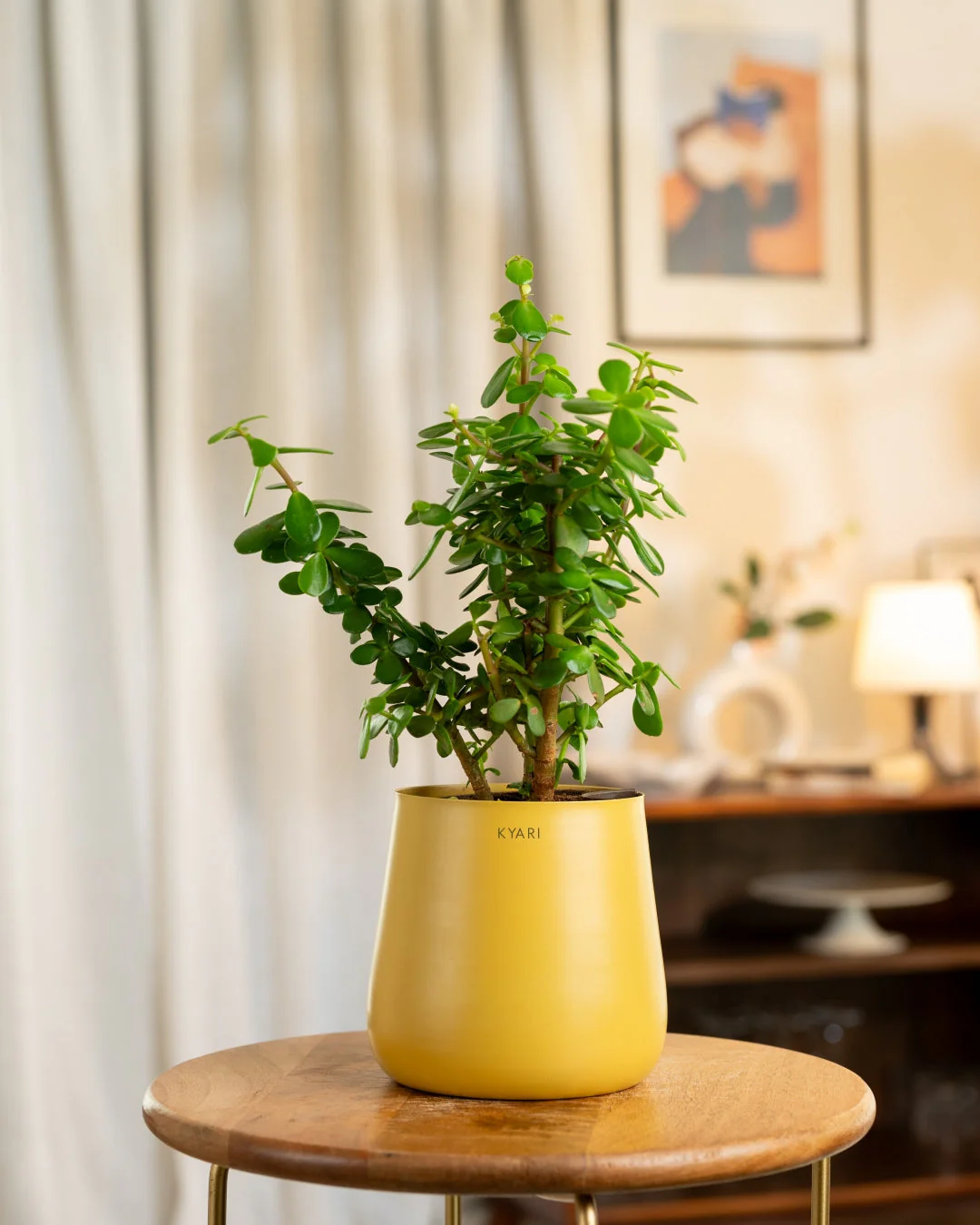 Product image 55