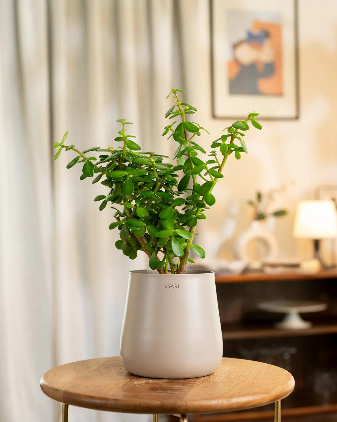 Product image 61