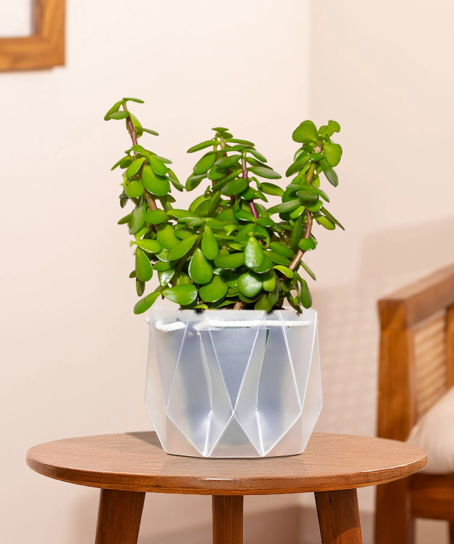 Product image 87