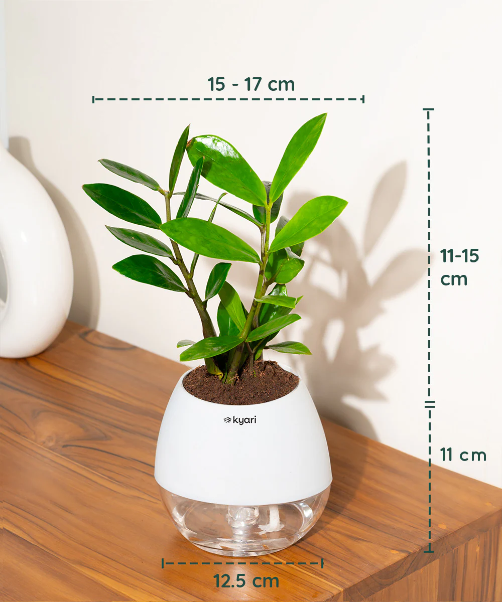 Product image 103