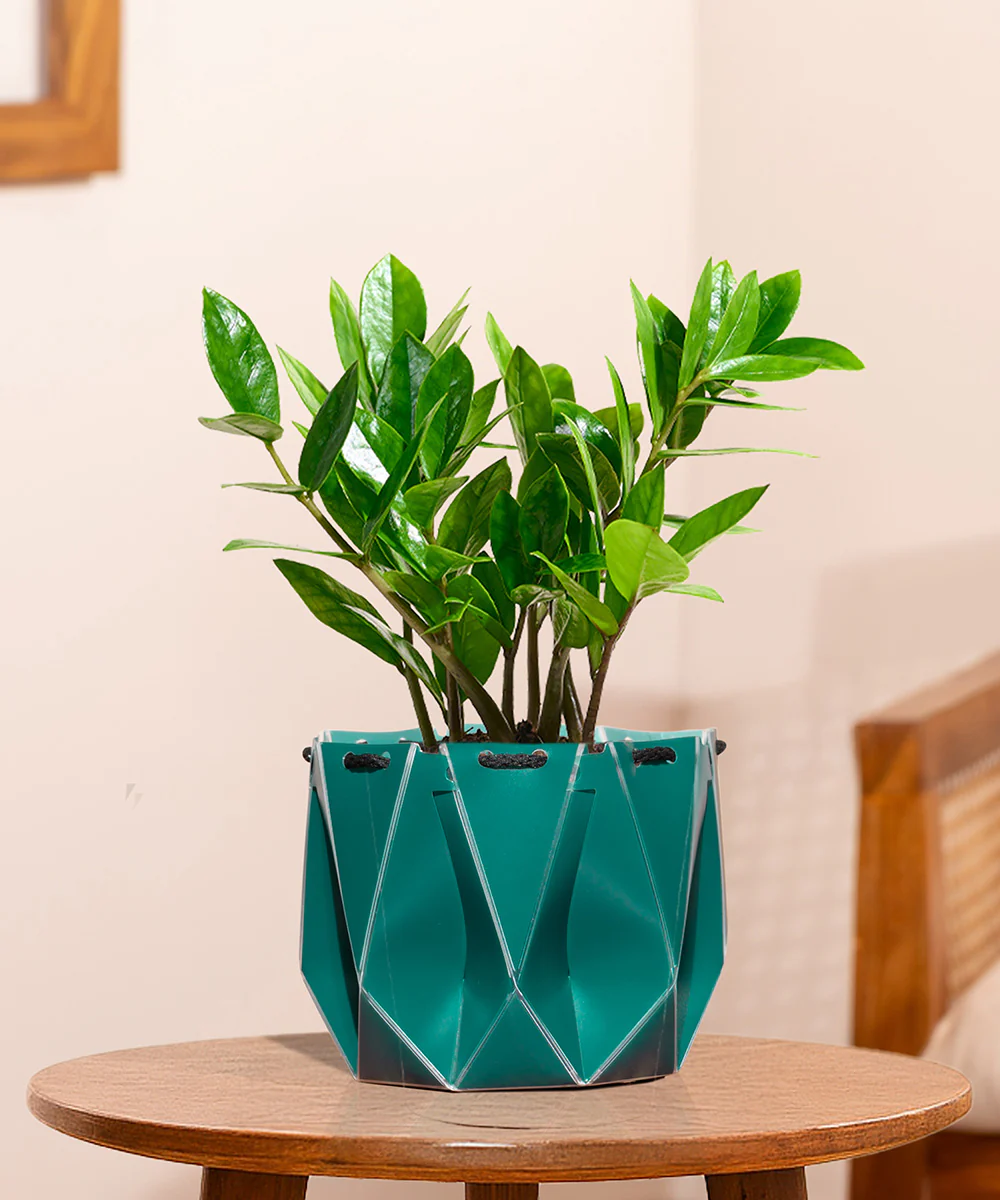 Product image 110