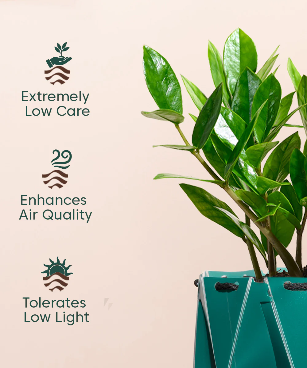 Product image 112