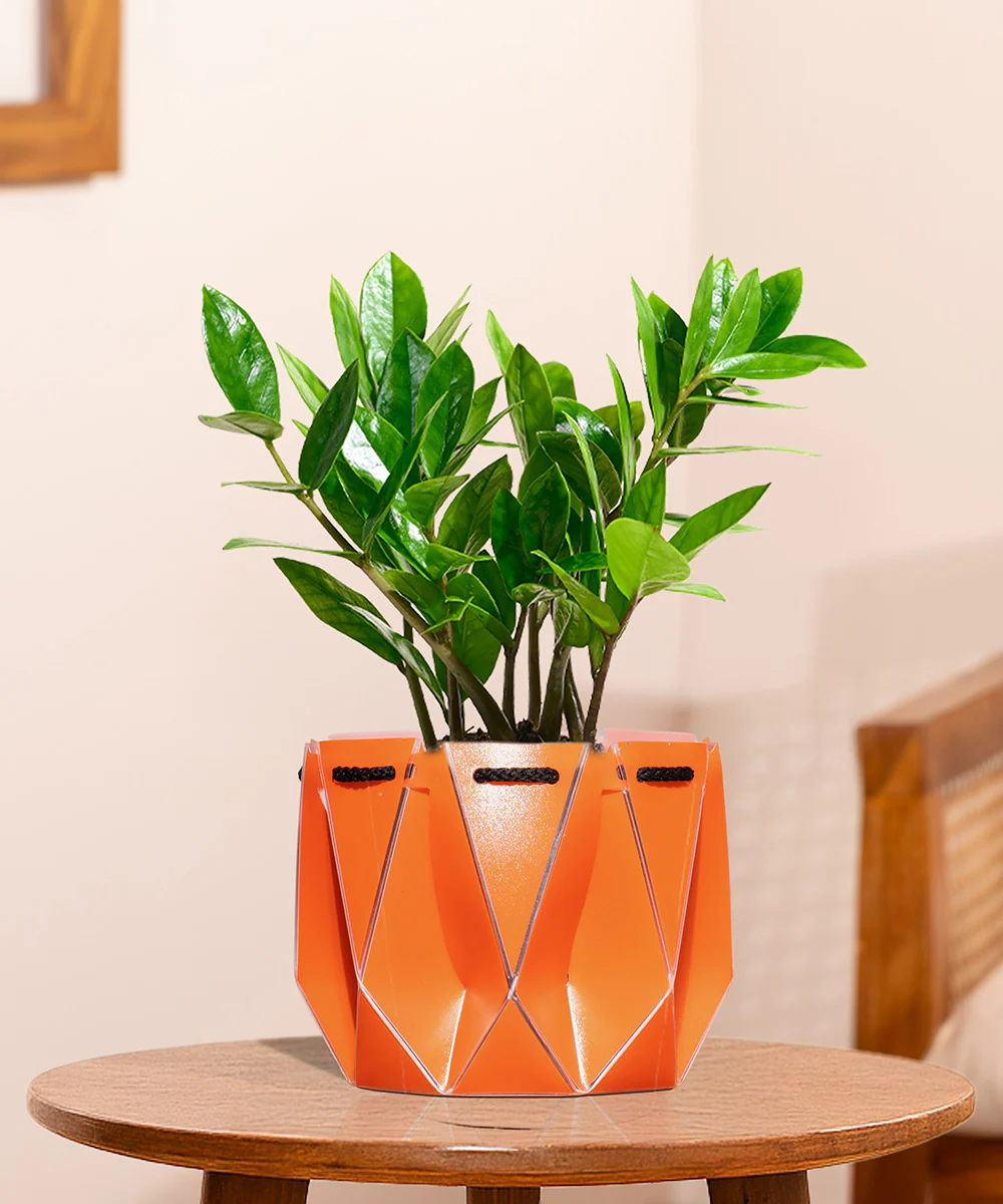 Product image 118
