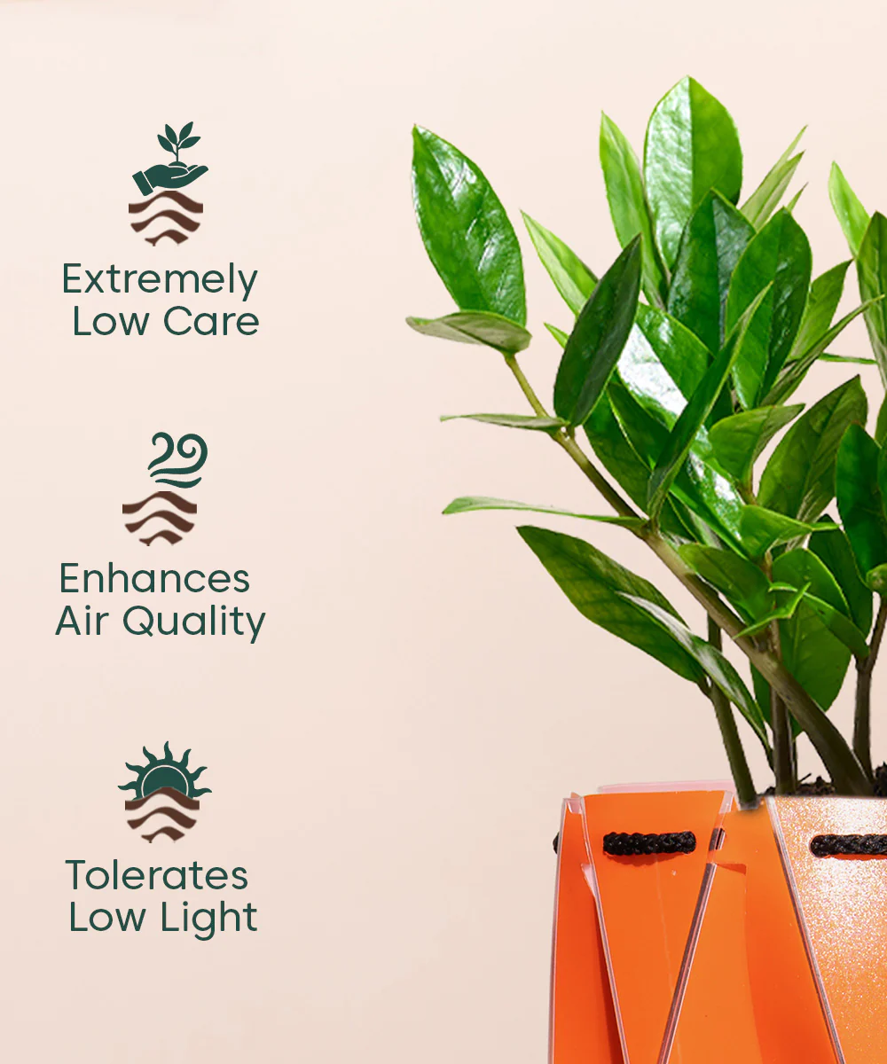 Product image 120