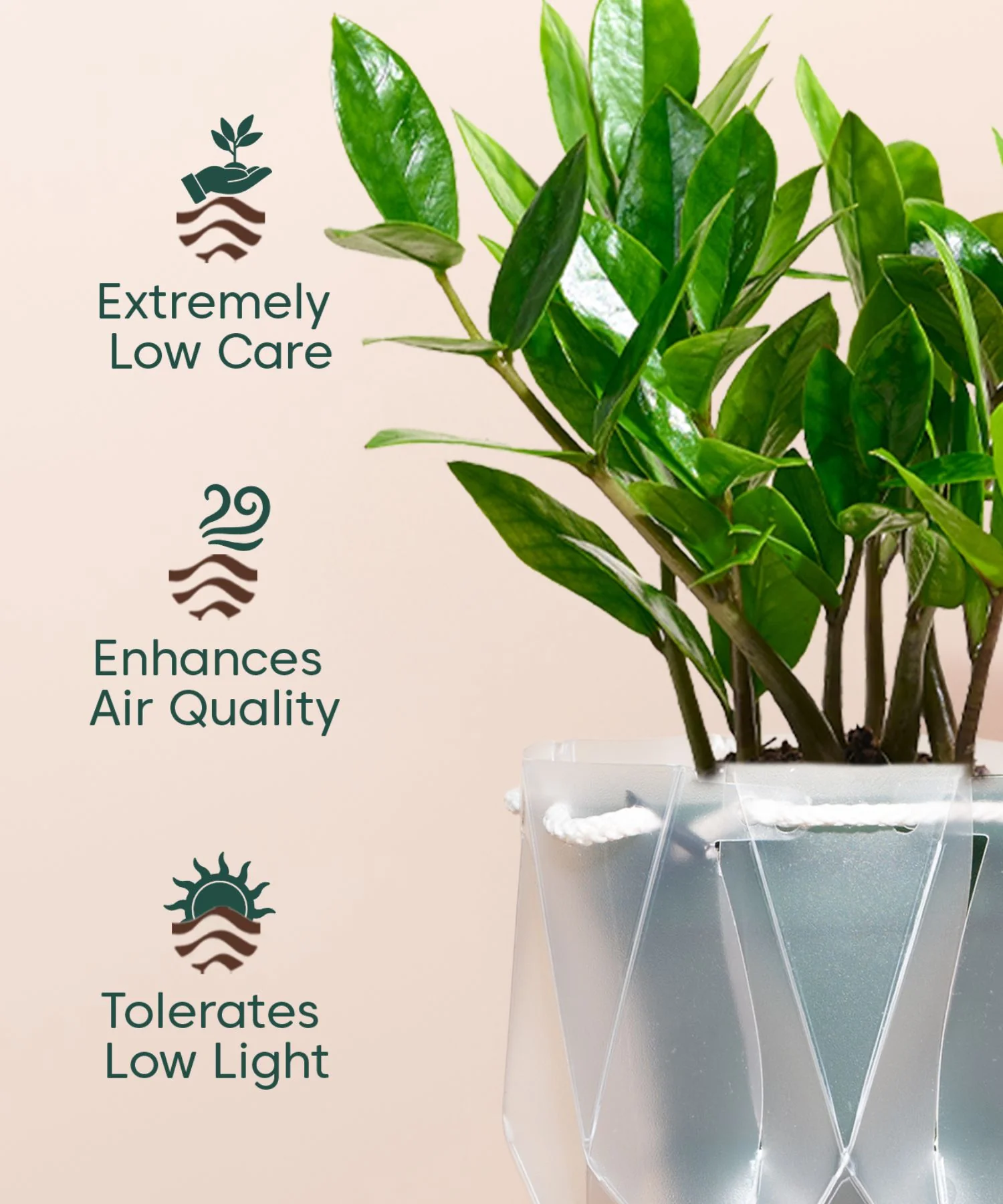 Product image 136