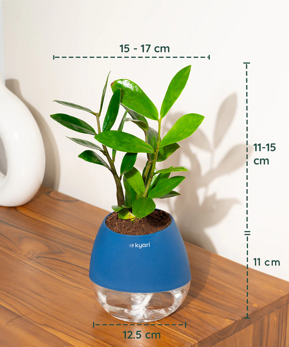 Product image 79