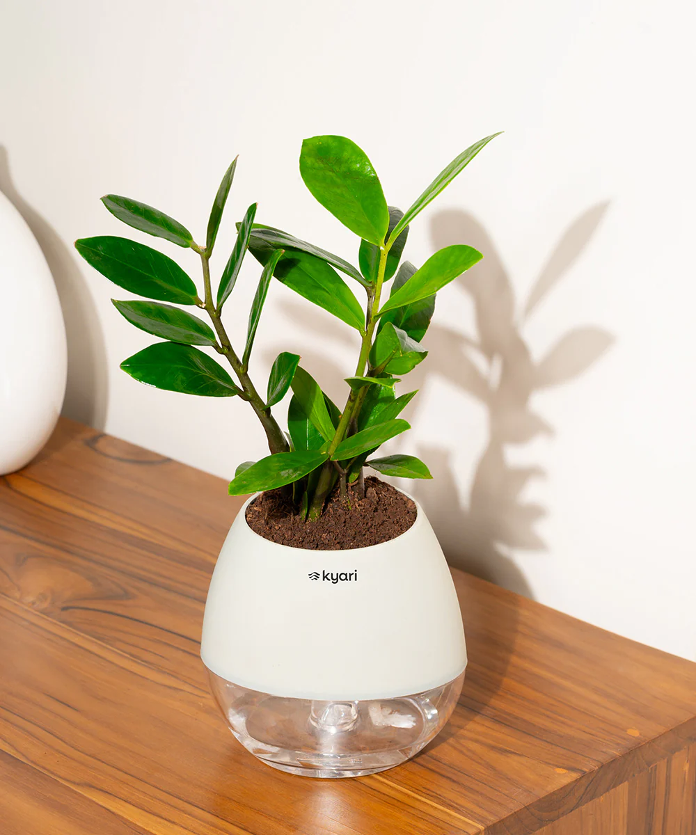 Product image 84