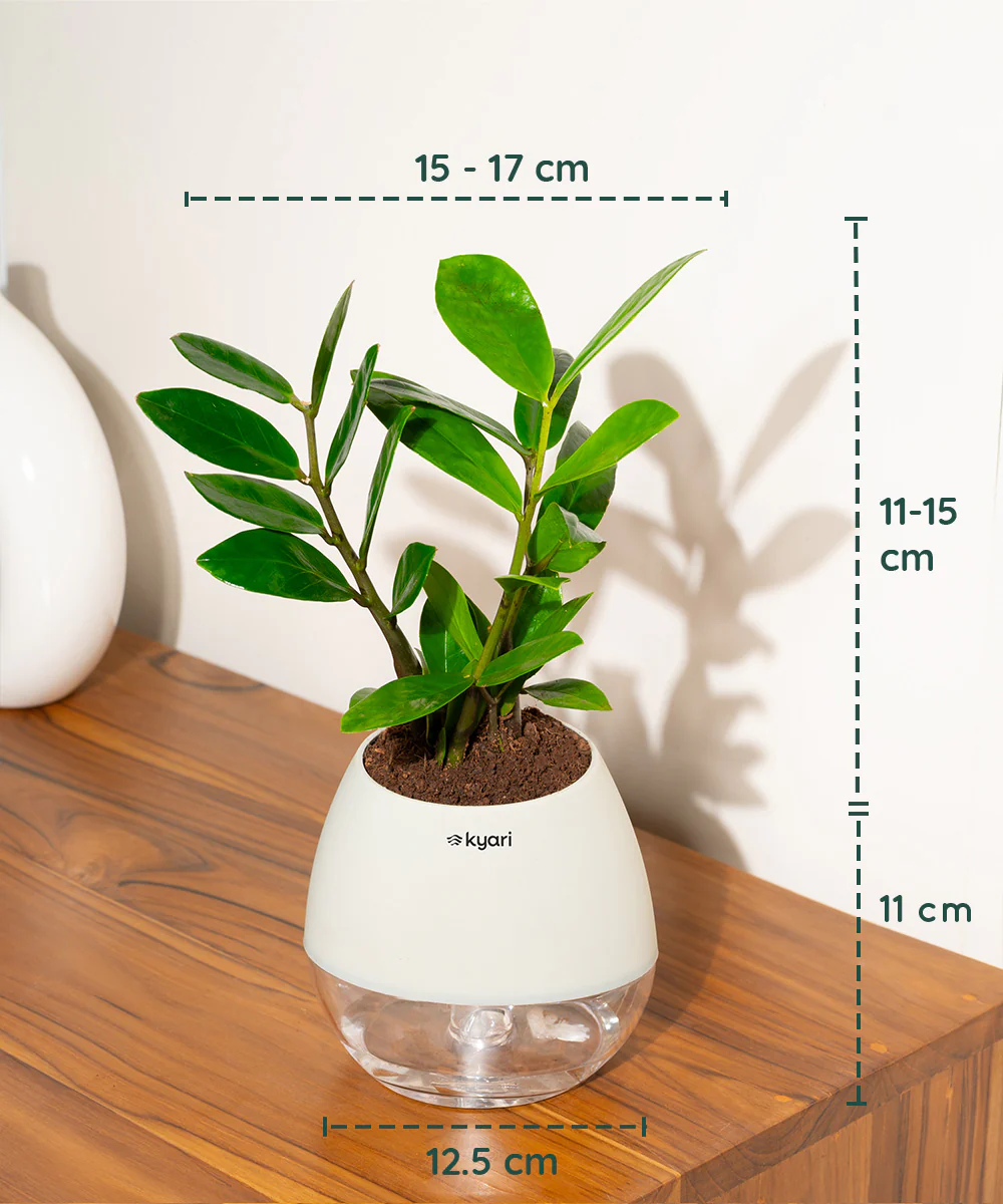 Product image 87