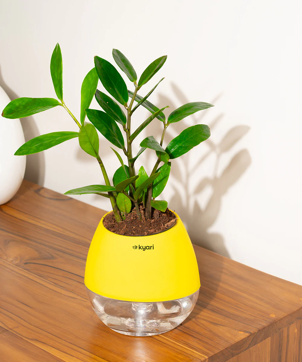 Product image 92